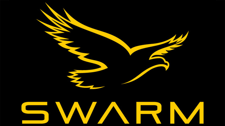 Iowa Swarm Logo